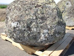 Basalt Lichen Specimen Boulders 